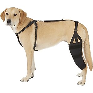 Labra Left Leg Dog Knee Brace, X-Large