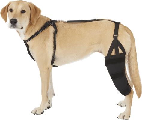 LABRA Left Leg Dog Knee Brace, X-Large