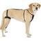 Show in main carousel: Labra Left Leg Dog Knee Brace, X-Large slide 6 of 7