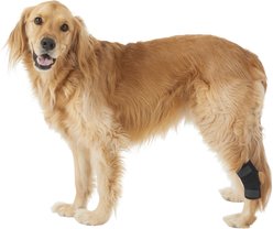 Labra Lightweight Dog Hock Brace, Large