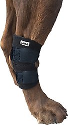 Labra Lightweight Dog Hock Brace with Flex Straps, Large