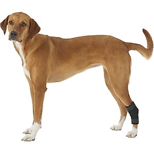 LABRA Extra Supportive Dog Hock Brace with Flex Straps, X-Large - Chewy.com