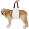 Show in main carousel: Labra Plush Dog Support Sling, Large/X-Large slide 1 of 6