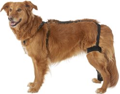 Labra Right Leg Dog Knee Brace, Large
