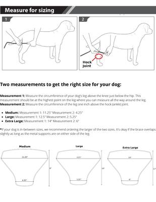 Show full view: Labra Right Leg Dog Knee Brace, Large slide 3 of 7