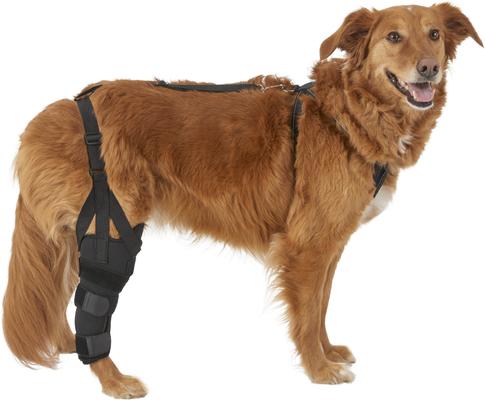 Show full view: Labra Right Leg Dog Knee Brace, Large slide 6 of 7