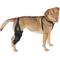 Show in main carousel: Labra Right Leg Dog Knee Brace, Medium slide 1 of 7