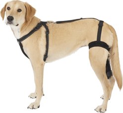 Labra Right Leg Dog Knee Brace, X-Large