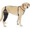 Show in main carousel: Labra Right Leg Dog Knee Brace, X-Large slide 6 of 7