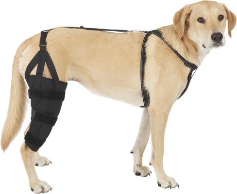Show full view: Labra Right Leg Dog Knee Brace, X-Large slide 6 of 7