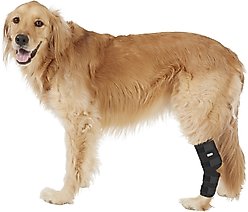 Labra Supportive Dog Hock Brace, Large