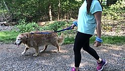 LaceUp Wearable Fitness Wrist Weight, 2 count, Black, 16-oz slide 2 of 5