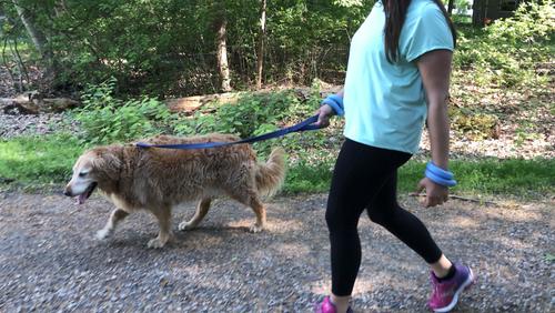 Show full view: LaceUp Wearable Fitness Wrist Weight, 2 count, Black, 16-oz slide 2 of 7