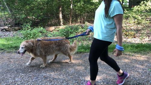 Show full view: LaceUp Wearable Fitness Wrist Weight, 2 count, University Blue, 16-oz slide 2 of 7