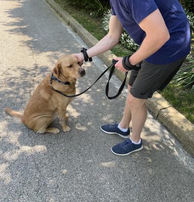 Show full view: LaceUp Wearable Fitness Wrist Weight, 2 count, University Blue, 16-oz slide 4 of 7