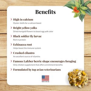 Lafeber Booster Berries Enrich Pellet Chicken Supplement, 10-oz bag