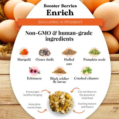 Show full view: Lafeber Booster Berries Enrich Pellet Chicken Supplement, 10-oz bag slide 5 of 9