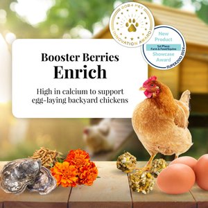 Lafeber Booster Berries Enrich Pellet Chicken Supplement, 10-oz bag