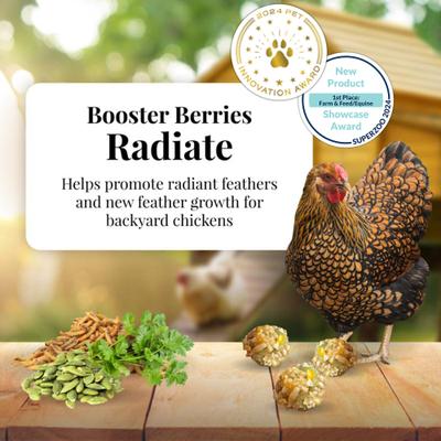 Show full view: Lafeber Booster Berries Radiate Pellet Chicken Supplement, 10-oz bag slide 3 of 9