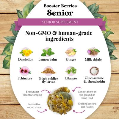 Show full view: Lafeber Booster Berries Senior Pellet Chicken Supplement, 3-lb bag slide 5 of 9