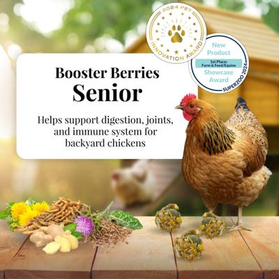 Show full view: Lafeber Booster Berries Senior Pellet Chicken Supplement, 3-lb bag slide 3 of 9