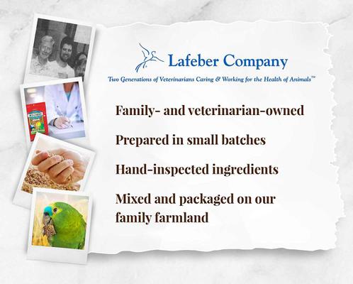 Show full view: Lafeber Classic Avi-Cakes Parrot Food, 12-oz bag slide 7 of 9