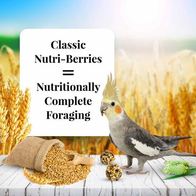Show full view: Lafeber Classic Nutri-Berries Cockatiel Food, 10-oz bag slide 4 of 9