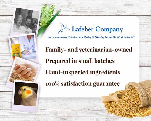 Show full view: Lafeber Classic Nutri-Berries Cockatiel Food, 10-oz bag slide 8 of 9