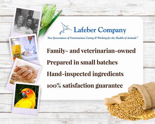 Show full view: Lafeber Classic Nutri-Berries Conure Food, 10-oz bag slide 8 of 9