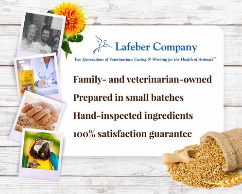 Show full view: Lafeber Classic Nutri-Berries Macaw & Cockatoo Food, 10-oz bag slide 8 of 9