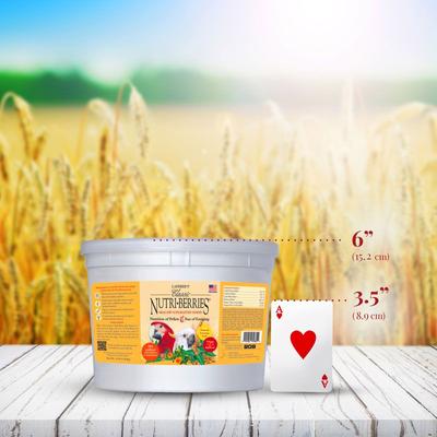 Show full view: Lafeber Classic Nutri-Berries Macaw & Cockatoo Food, 3.5-lb tub slide 2 of 8