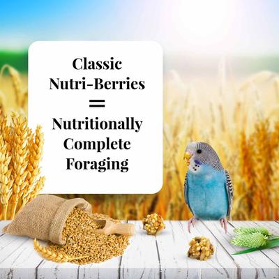 Show full view: Lafeber Classic Nutri-Berries Parakeet Food, 10-oz bag slide 4 of 9