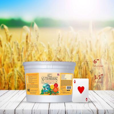 Show full view: Lafeber Classic Nutri-Berries Parakeet Food, 4-lb tub slide 2 of 8