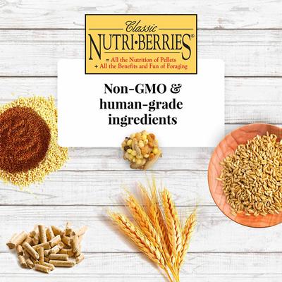 Show full view: Lafeber Classic Nutri-Berries Parakeet Food, 4-lb tub slide 5 of 8