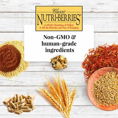 Show full view: Lafeber Classic Nutri-Berries Parrot Food, 10-oz bag slide 6 of 9