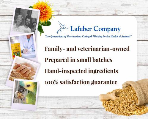 Show full view: Lafeber Classic Nutri-Berries Parrot Food, 10-oz bag slide 8 of 9