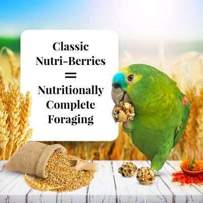 Show full view: Lafeber Classic Nutri-Berries Parrot Food, 14-lb tub slide 2 of 7