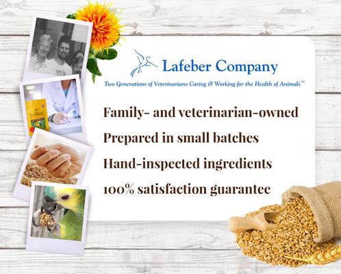 Show full view: Lafeber Classic Nutri-Berries Parrot Food, 14-lb tub slide 6 of 7