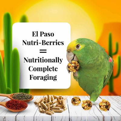 Show full view: Lafeber El Paso Nutri-Berries Parrot Food, 10-oz bag slide 4 of 9