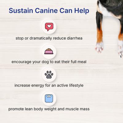Show full view: Lafeber EmerAid Sustain Canine Recovery Food, 3.5-oz bag slide 4 of 11