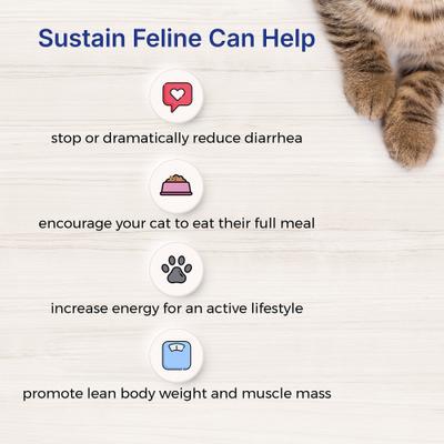 Show full view: Lafeber EmerAid Sustain Feline Recovery Food, 3.5-oz bag slide 4 of 11
