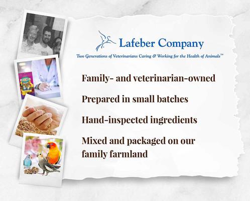 Show full view: Lafeber Fruit Delight Avi-Cakes Cockatiel & Parakeet Bird Food, 8-oz bag slide 8 of 9