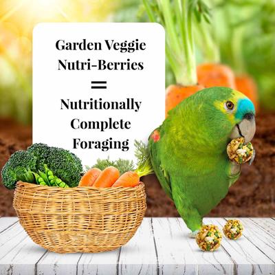 Show full view: Lafeber Garden Veggie Nutri-Berries Parrot Food, 10-oz bag slide 4 of 9