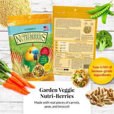 Show full view: Lafeber Gourmet Nutri-Berries 4-Pack with Free Classic Avi-Cakes Bird Food, 2.5-lb box slide 5 of 9