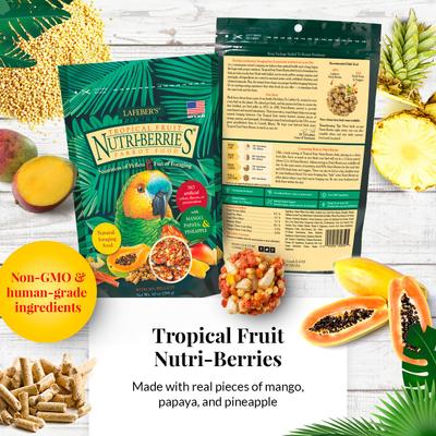 Show full view: Lafeber Gourmet Nutri-Berries 4-Pack with Free Classic Avi-Cakes Bird Food, 2.5-lb box slide 7 of 9