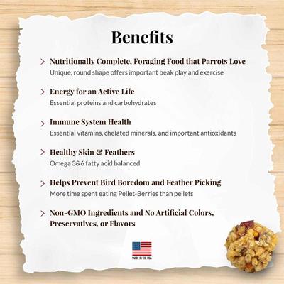 Show full view: Lafeber Pellet-Berries Sunny Orchard Parrot Food, 2.75-lb bag slide 4 of 8