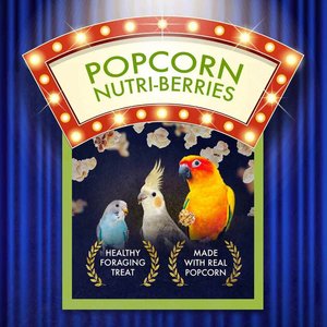 Lafeber Popcorn Nutri-Berries Cockatiel & Parakeet Bird Treat, 4-oz bag