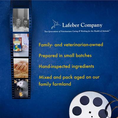 Show full view: Lafeber Popcorn Nutri-Berries Parrot Bird Treat, 4-oz bag slide 8 of 9