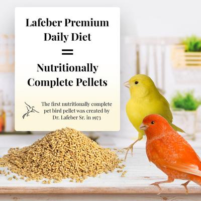 Show full view: Lafeber Premium Daily Diet Canary Bird Food, 5-lb bucket slide 5 of 7