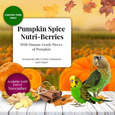 Show full view: Lafeber Pumpkin Spice Nutri-Berries Pellets Budgie Parakeet & Cockatiel Bird Food, 10-oz bag slide 4 of 8